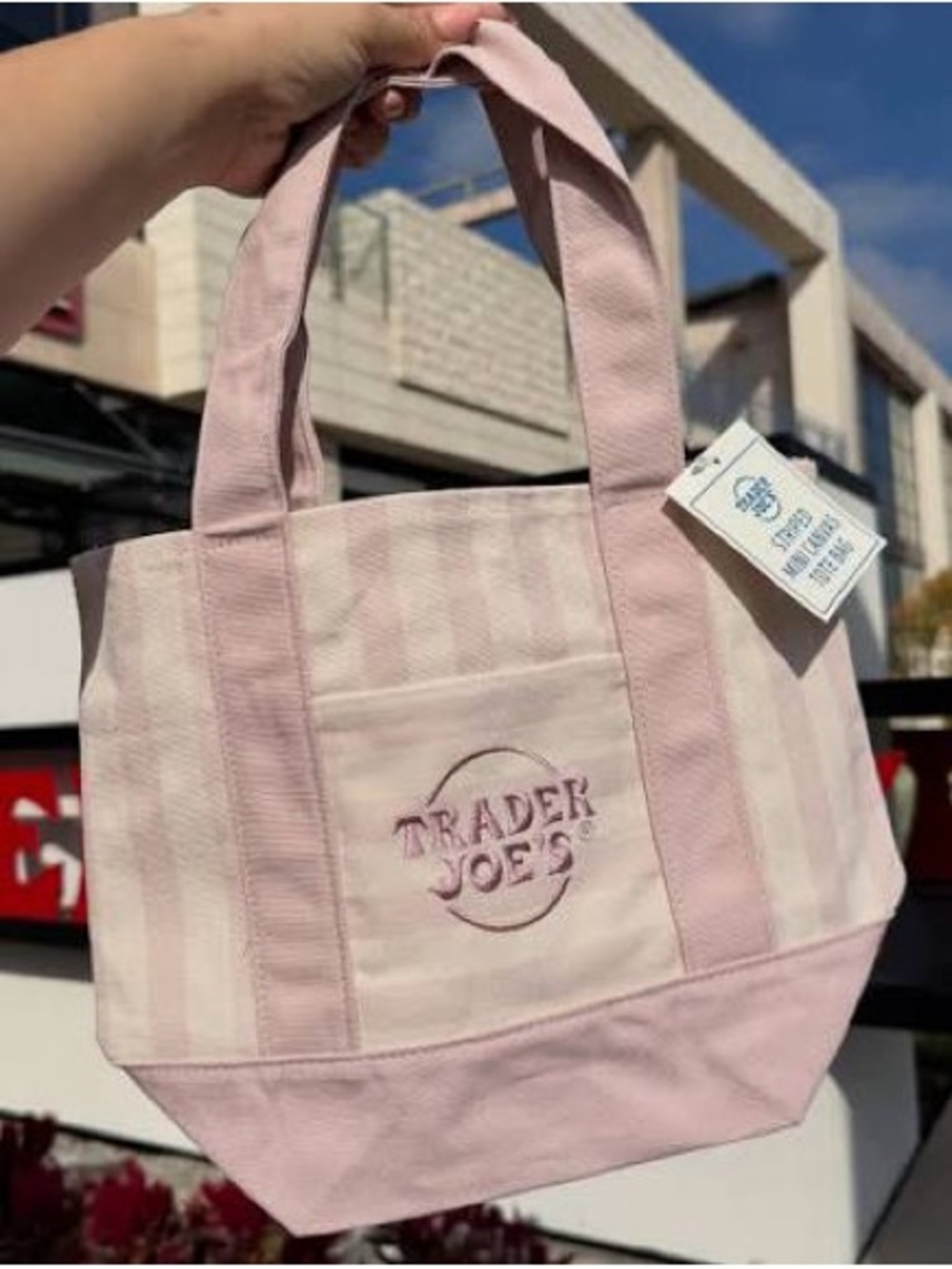 NWT! Trader Joe's Pink & Cream Striped Mini Canvas Tote